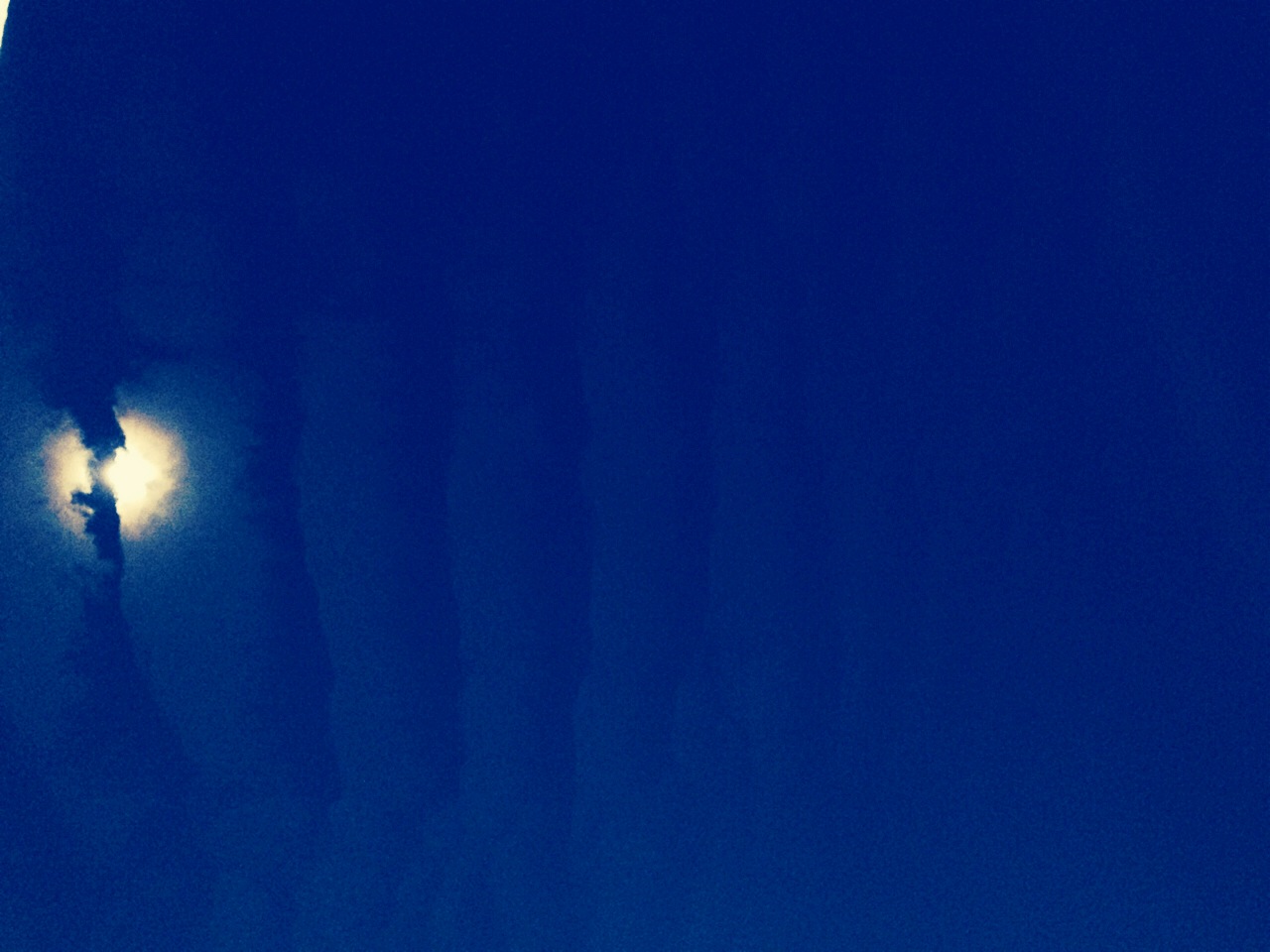 自然。_d0178587_16181352.jpg
