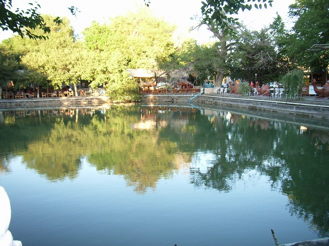 b0287088_1810115.jpg