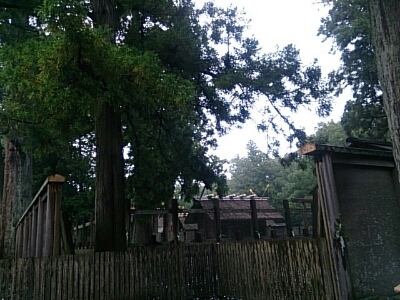d0156797_18125318.jpg
