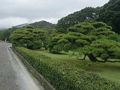d0156797_18205149.jpg