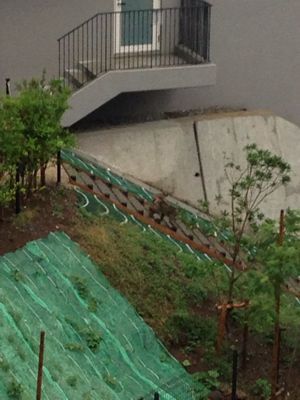 f0101201_1642510.jpg