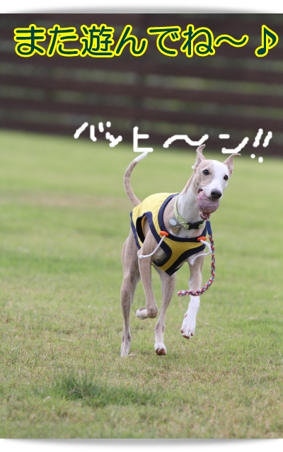 e0100007_13173493.jpg