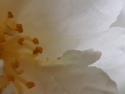 c0156908_105567.jpg