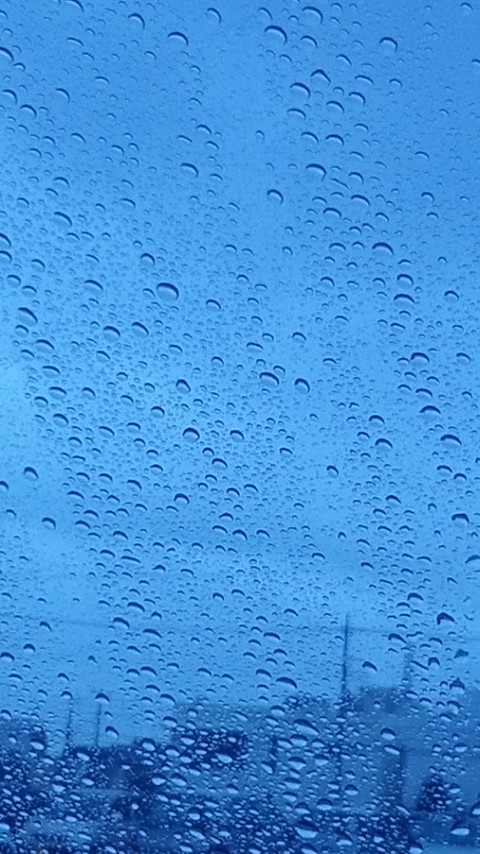 台風二過?_f0155808_20122577.jpg