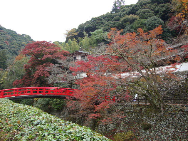 f0276708_15554822.jpg