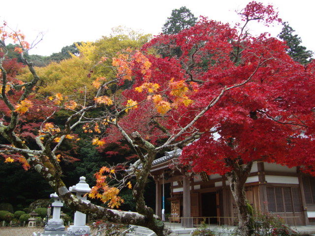 f0276708_1556840.jpg