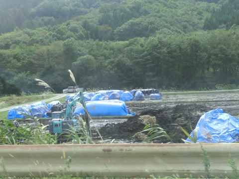「希望の牧場ーふくしま」へ_f0269910_16245181.jpg