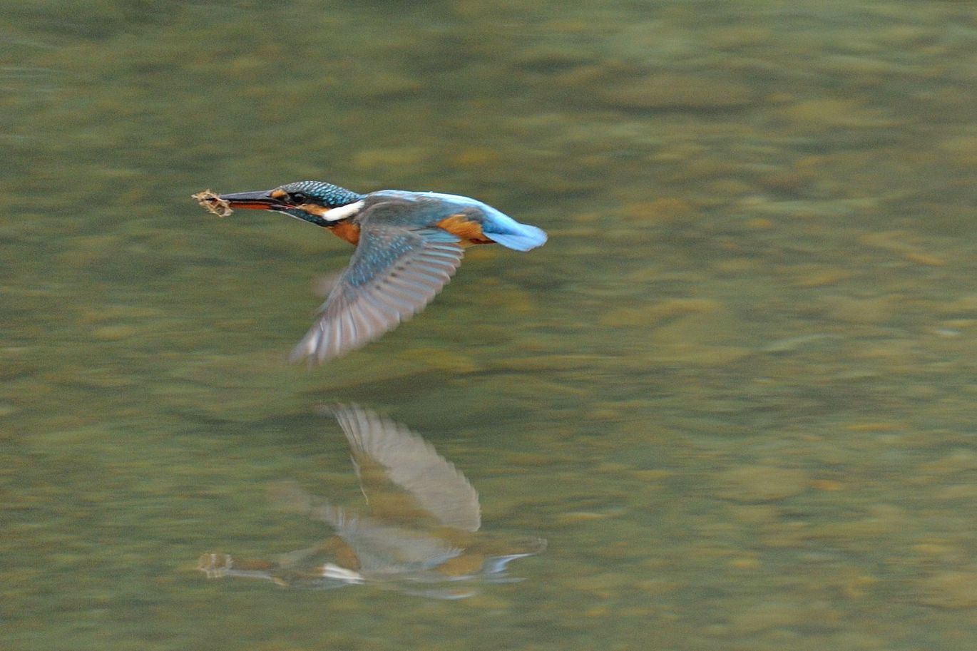 雨の霞川_f0133213_1071910.jpg