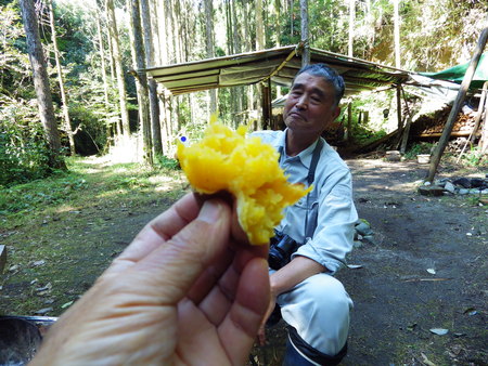 d0053616_16352643.jpg