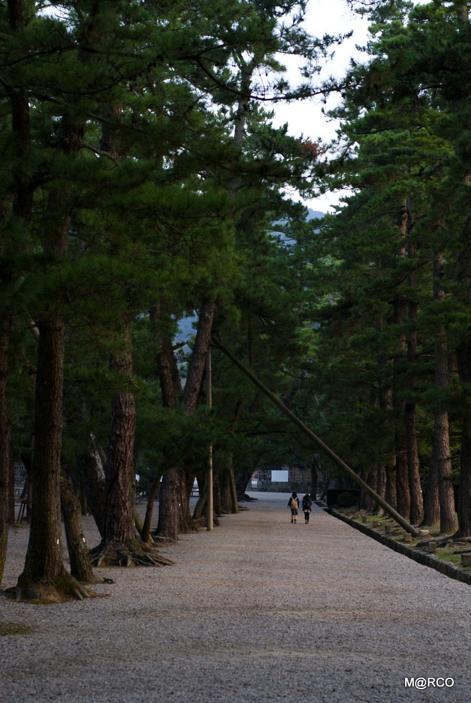 瀬戸内国際芸術祭と島根 2013 : 8. 出雲 @ 島根_a0240721_001427.jpg