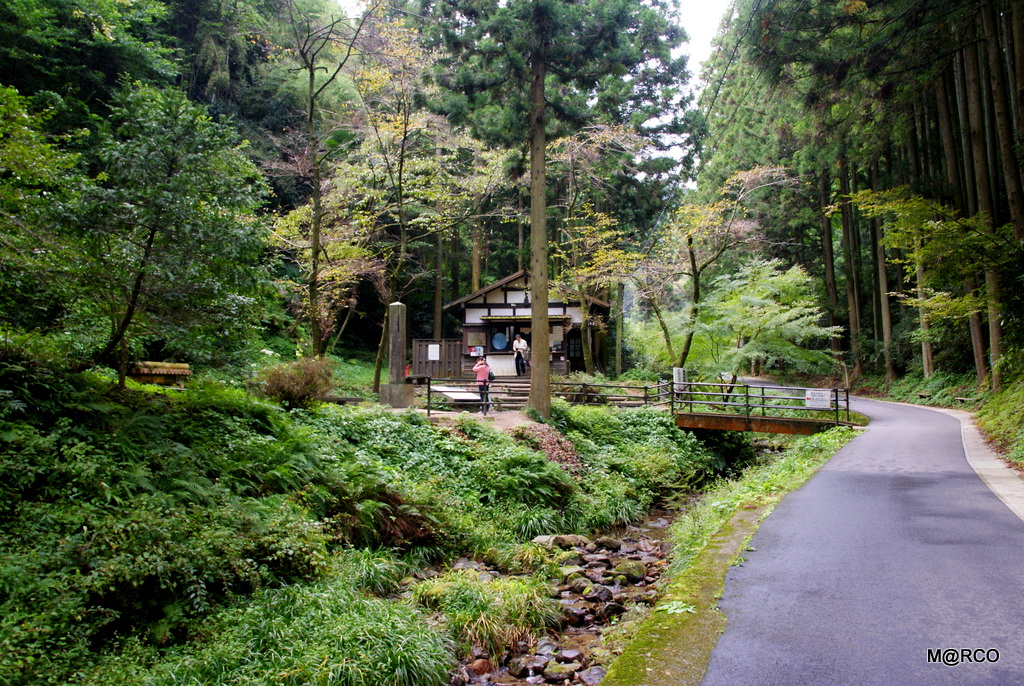 a0240721_2111512.jpg