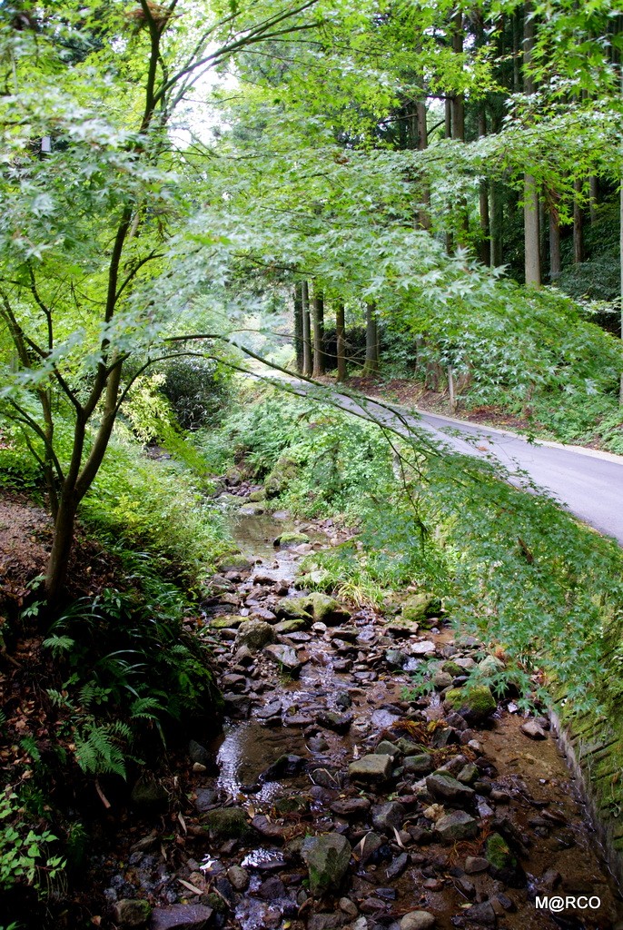 瀬戸内国際芸術祭と島根 2013 : 9. 石見銀山 @ 島根_a0240721_21252830.jpg