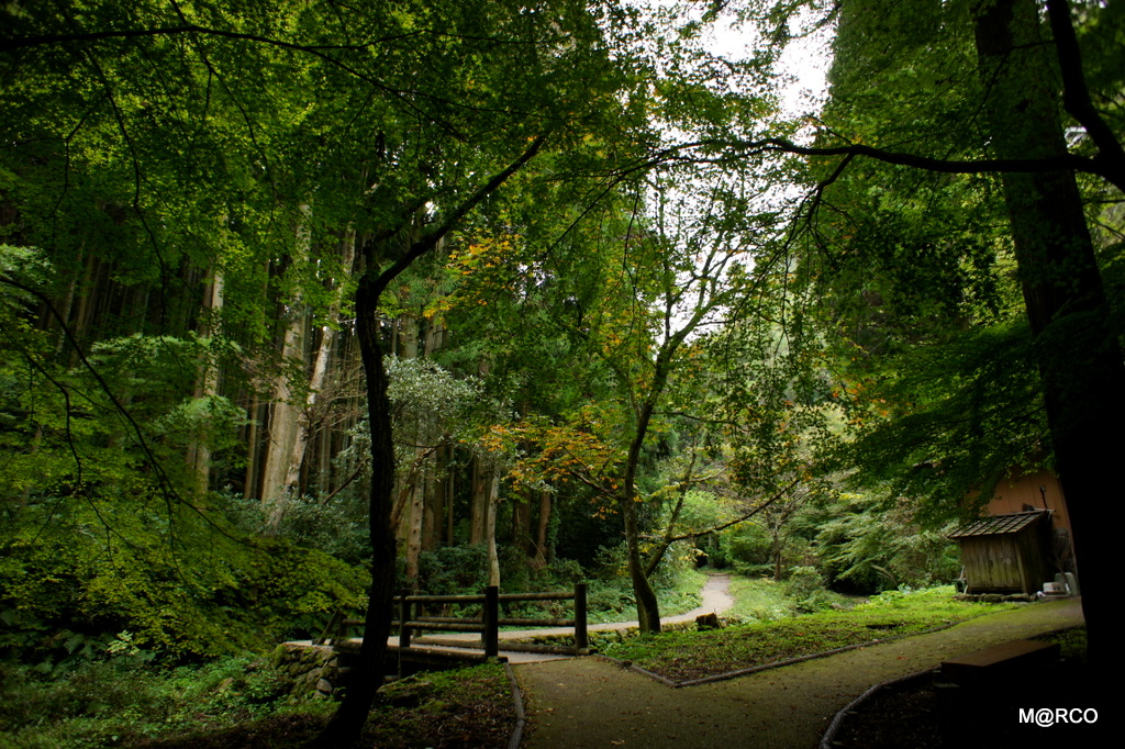 瀬戸内国際芸術祭と島根 2013 : 9. 石見銀山 @ 島根_a0240721_21292465.jpg