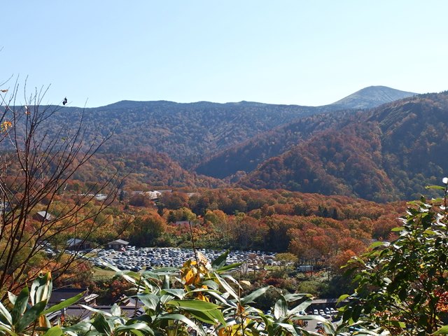 d0130927_12313.jpg