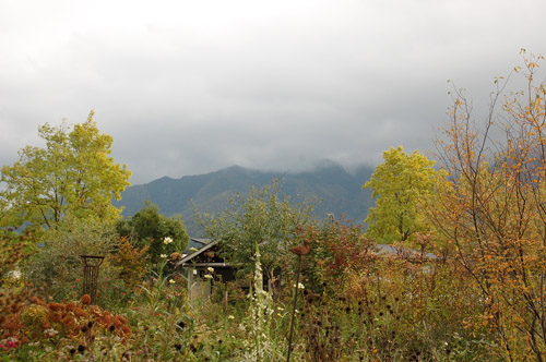 c0107129_2363411.jpg