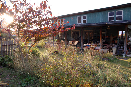 c0107129_238387.jpg
