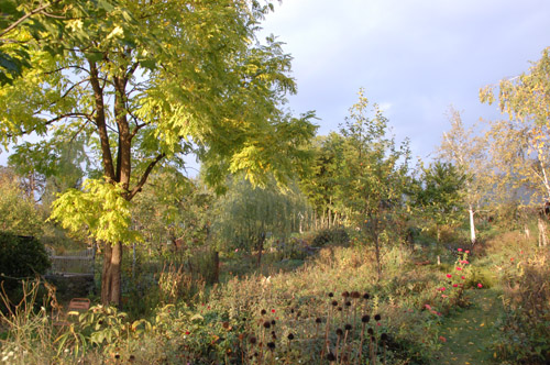 c0107129_2385092.jpg