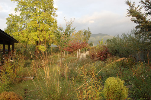 c0107129_2393994.jpg