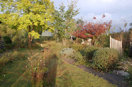 c0107129_239774.jpg