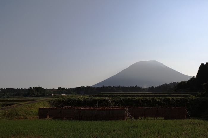 a0294534_2045449.jpg