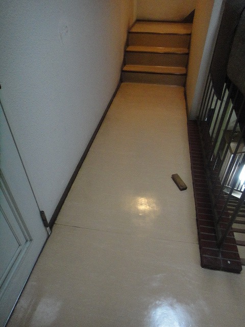 f0208737_87569.jpg