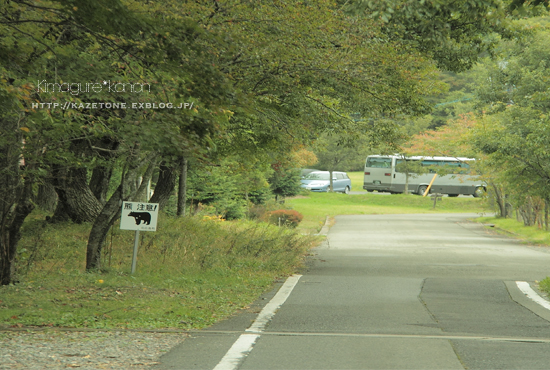 寄り道マニア**　in 八幡高原_b0197639_21582084.jpg