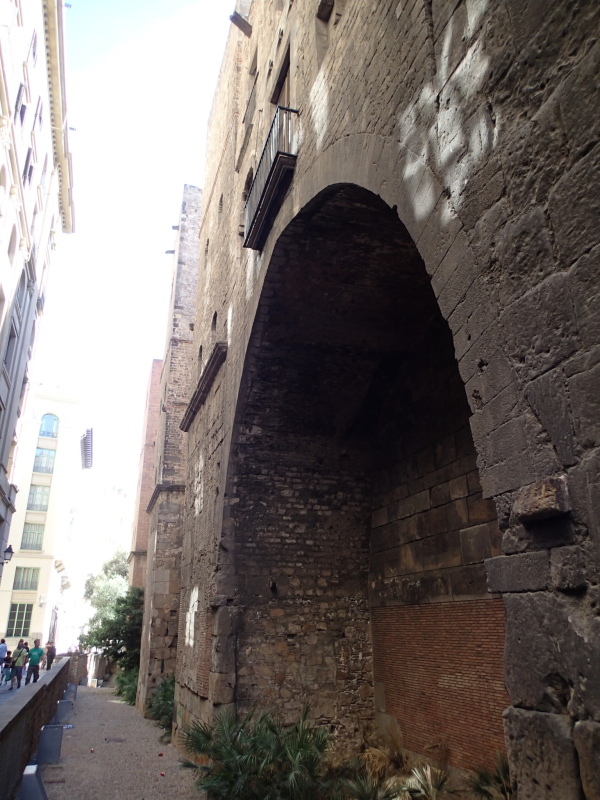 b0190242_8593071.jpg