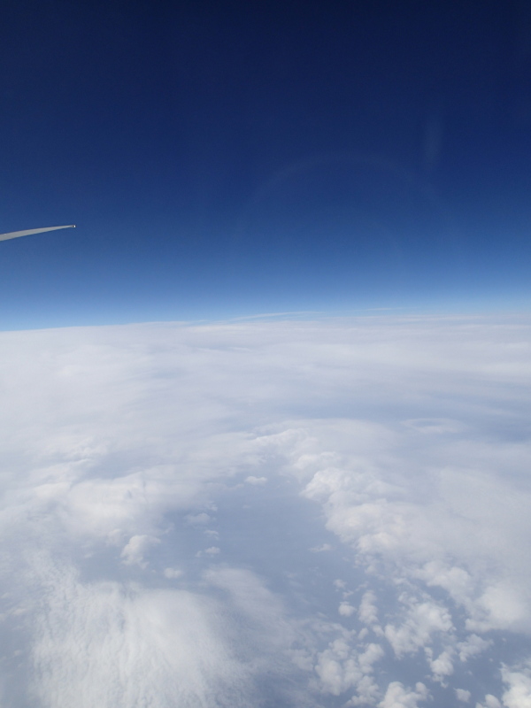 b0190242_9413881.jpg