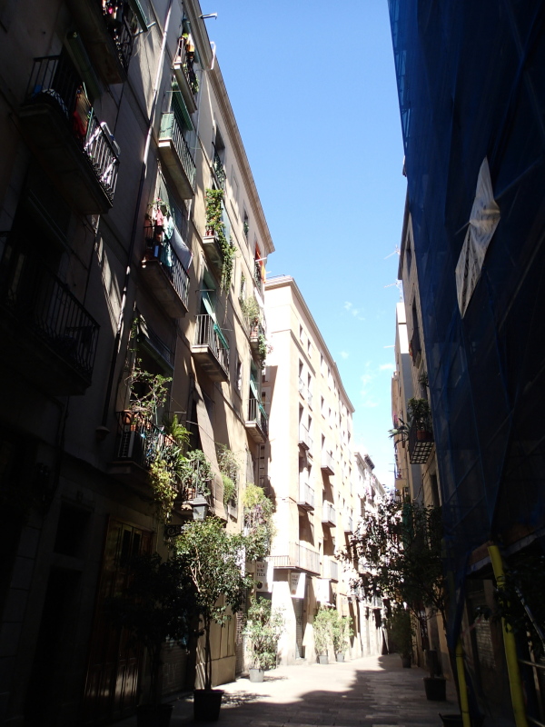 b0190242_9511077.jpg