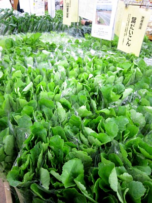 続々と出荷「軟弱野菜（青物）」 げんきの郷の日々