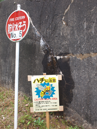f0216353_10584333.jpg