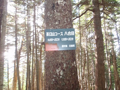 c0097754_13395769.jpg