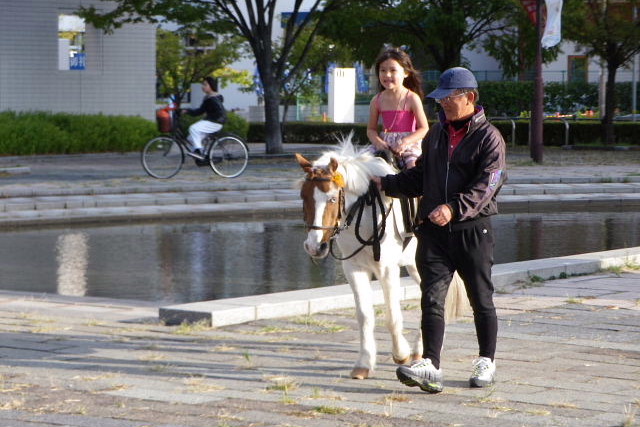 六甲アイランドハロウインフェスティバル、今日の日没_a0030958_23152973.jpg