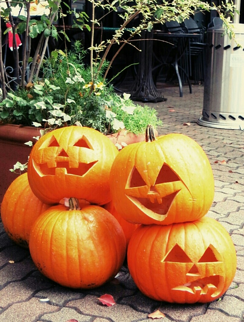 f0236260_1414134.jpg