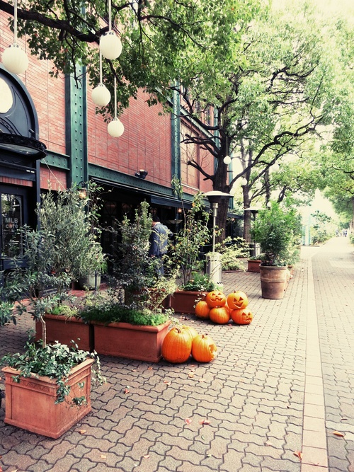 f0236260_142228.jpg