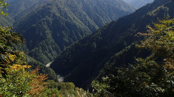 b0050067_95121.jpg