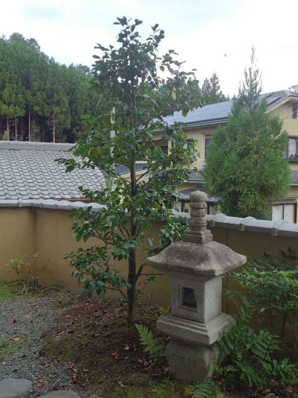 f0142070_1631770.jpg