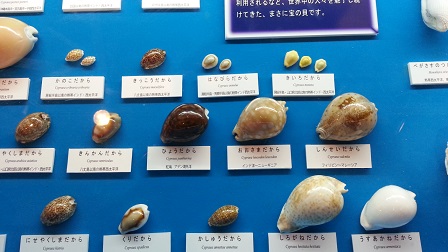 f0228680_1113212.jpg