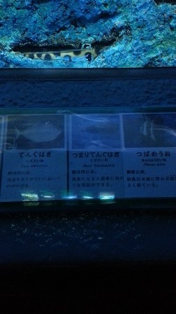 f0228680_1184217.jpg