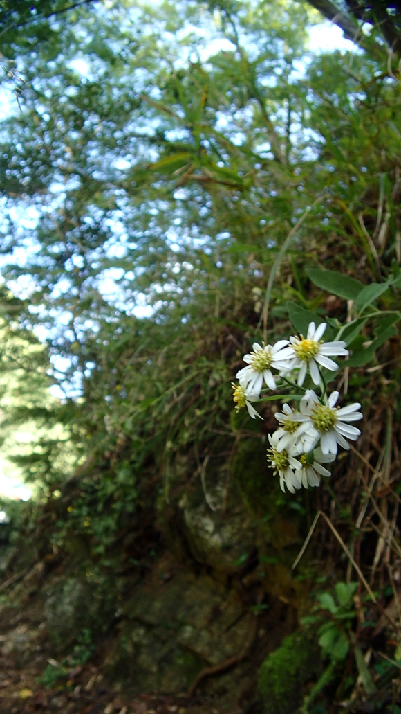 e0024081_16352890.jpg