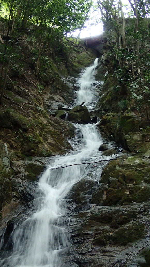 e0024081_16405440.jpg