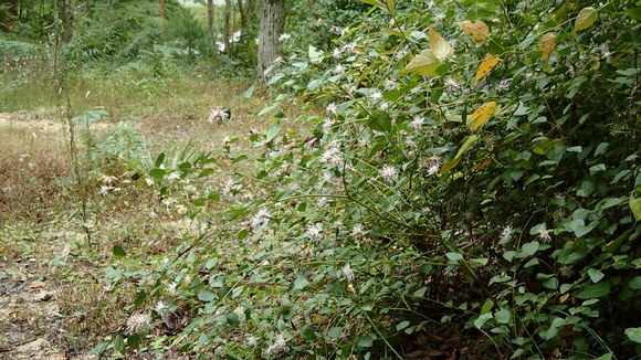 e0024081_16485536.jpg