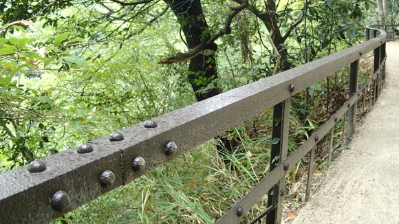 e0024081_17171985.jpg