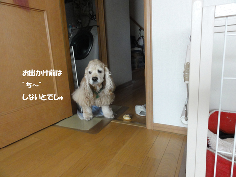 f0218182_16302939.jpg