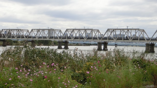 d0181492_21493623.jpg