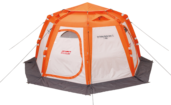 今期初入荷(*^▽^*)