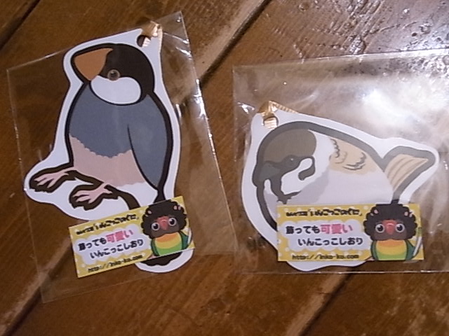お待たせしました!インコと鳥の雑貨展色々納品!_d0322493_9433035.jpg