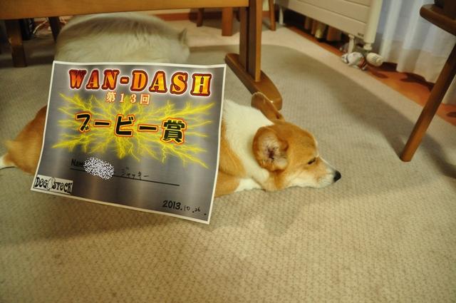 ワンダッシュ大会inドッグストック_f0212597_17351184.jpg
