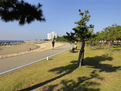 b0108100_163113.gif