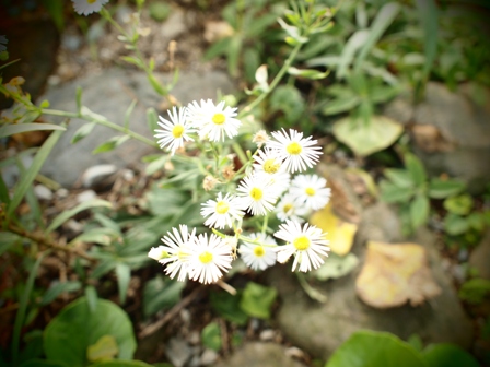 b0292900_9415046.jpg
